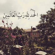 ميار Alshehri
