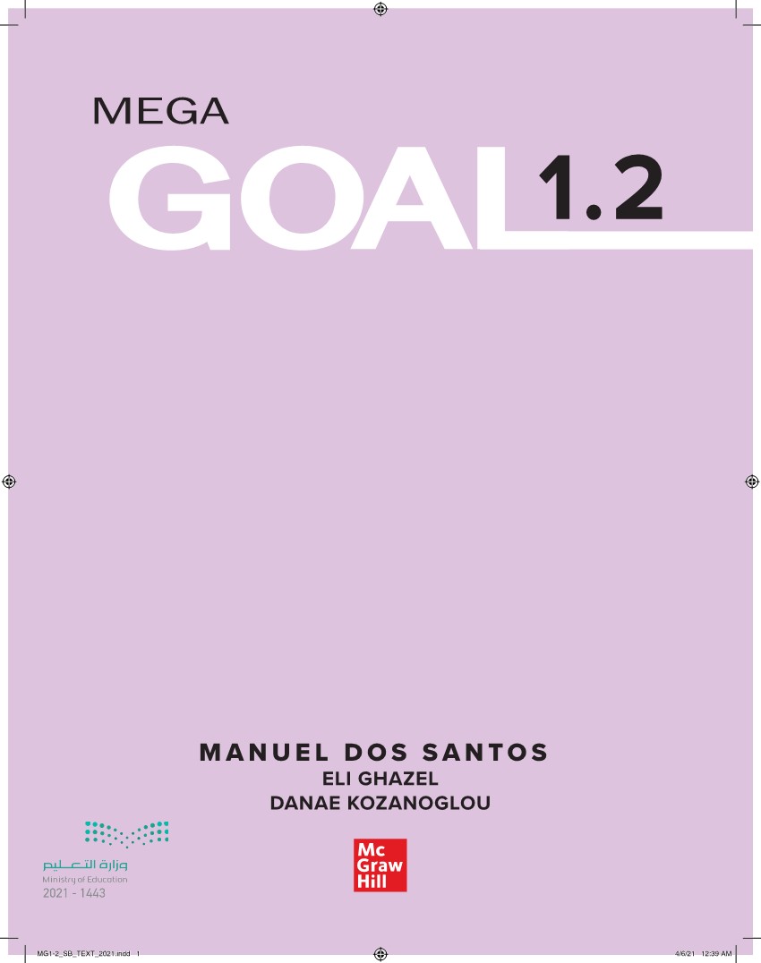 Mega goal 1-2